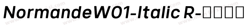 NormandeW01-Italic R字体转换